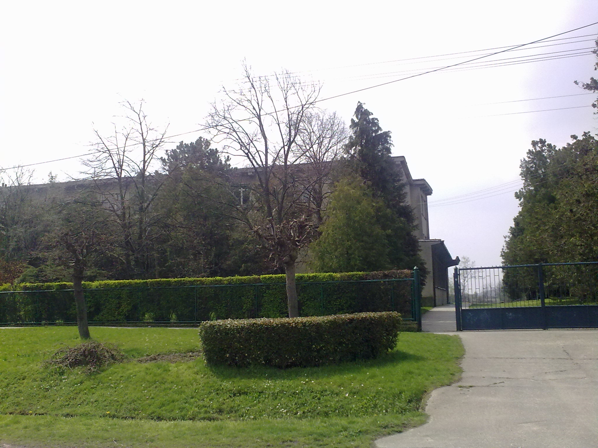 16042010191.jpg