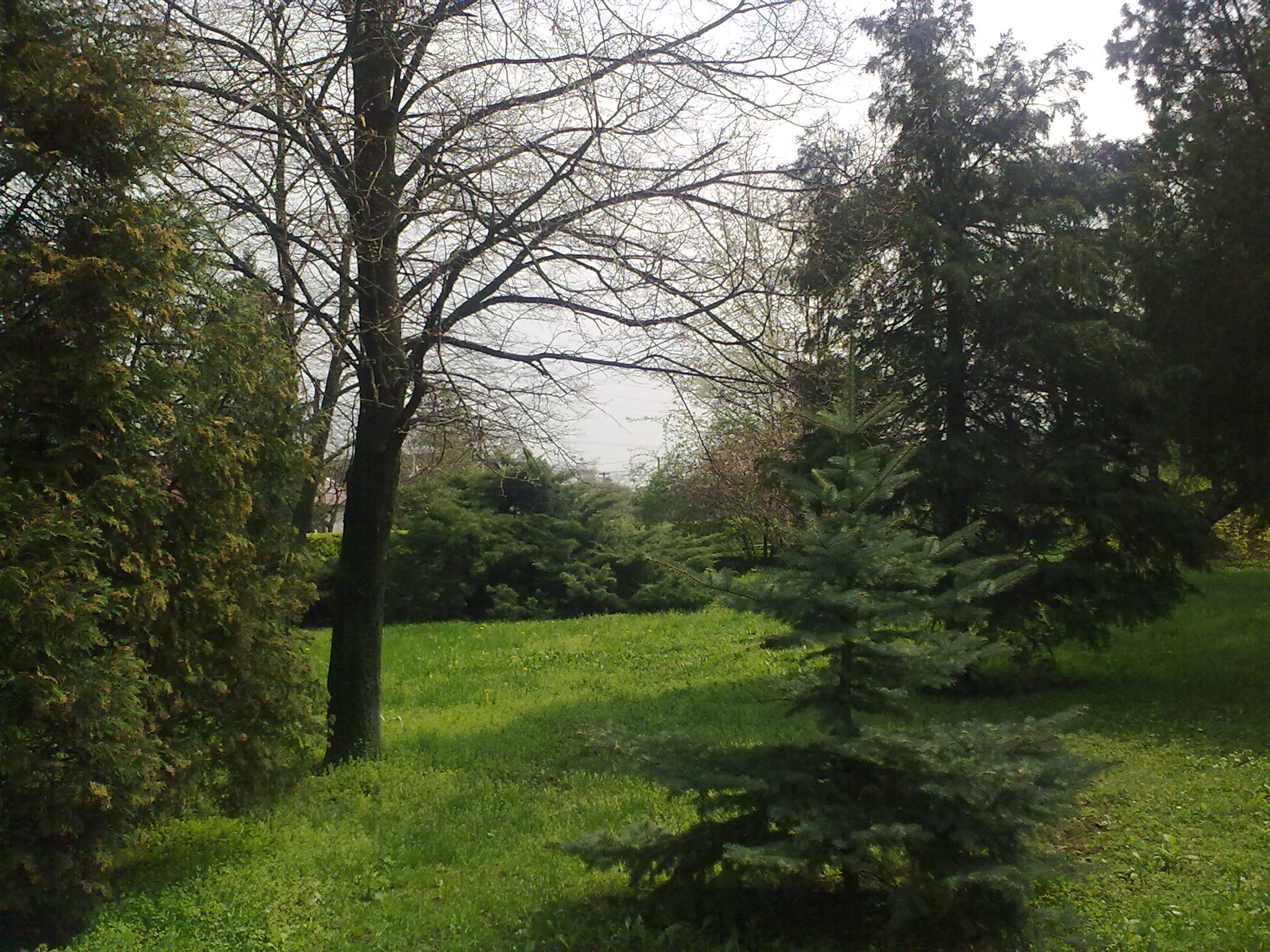 16042010189.jpg